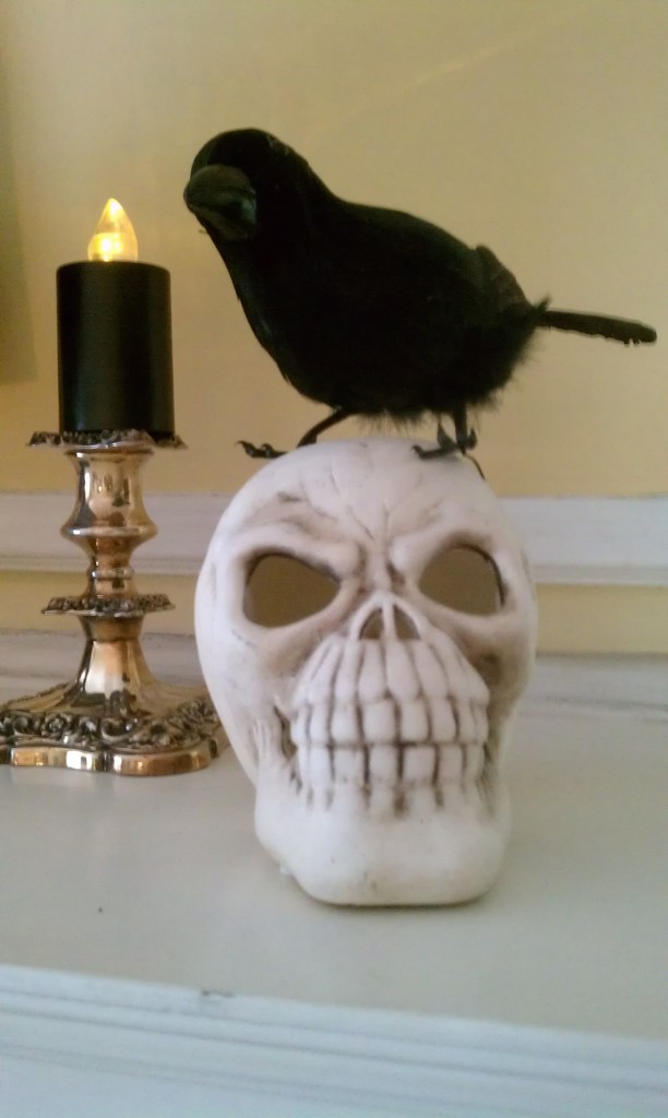 Crow on Skull