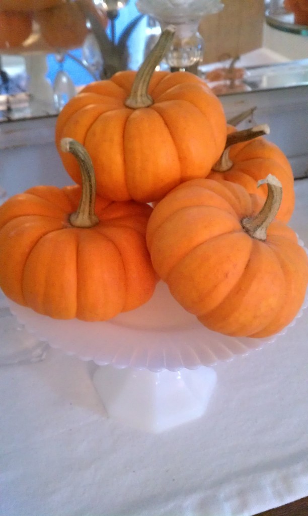 mini pumpkins