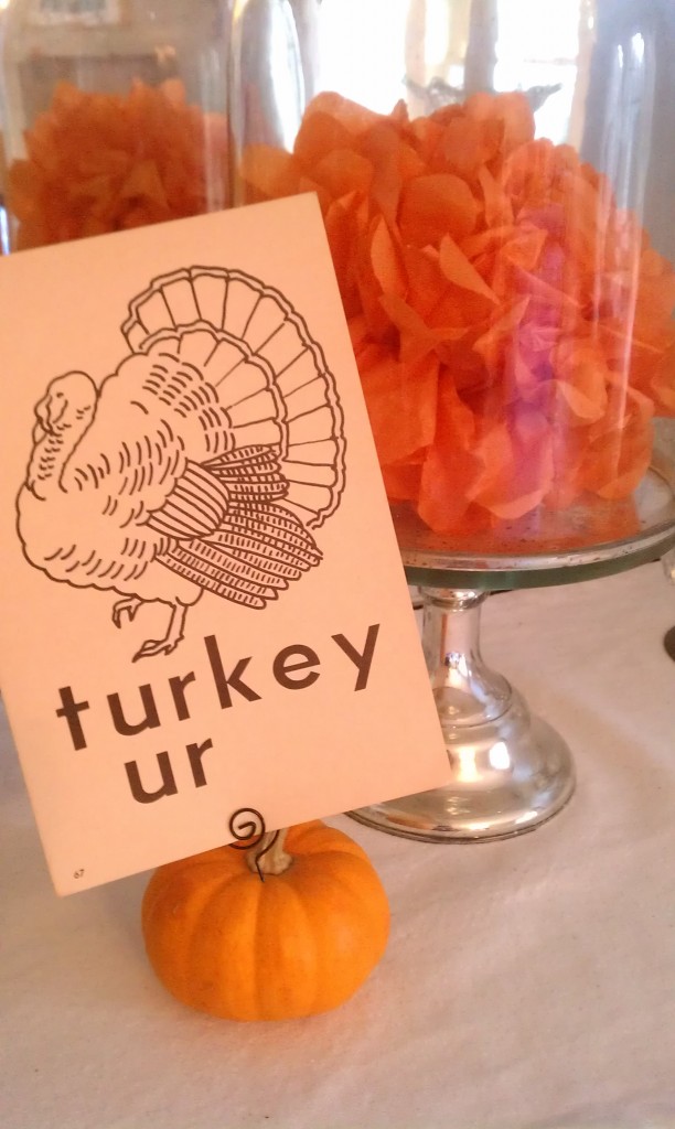 turkey flash card