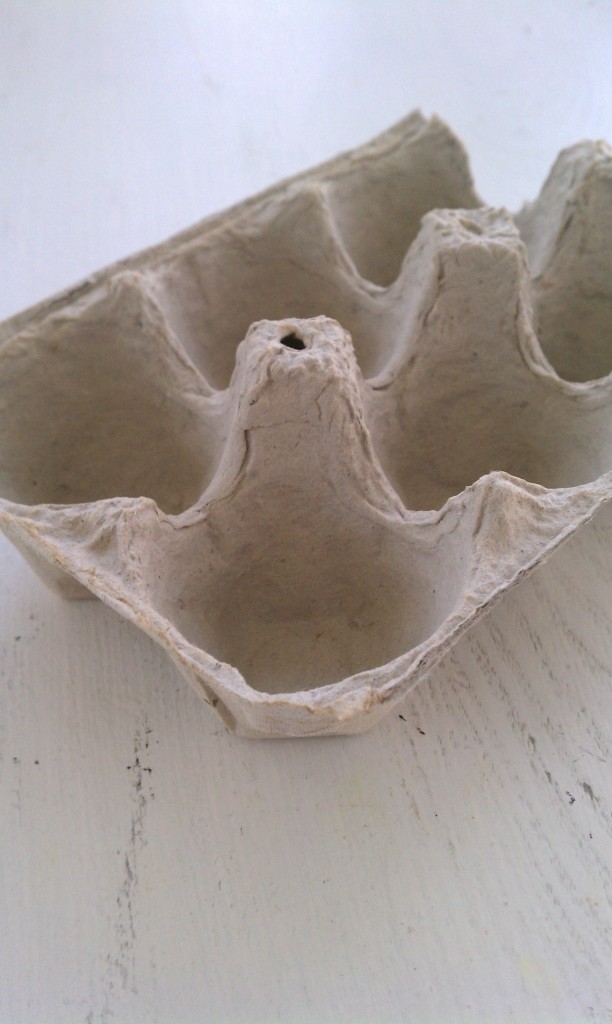 egg carton