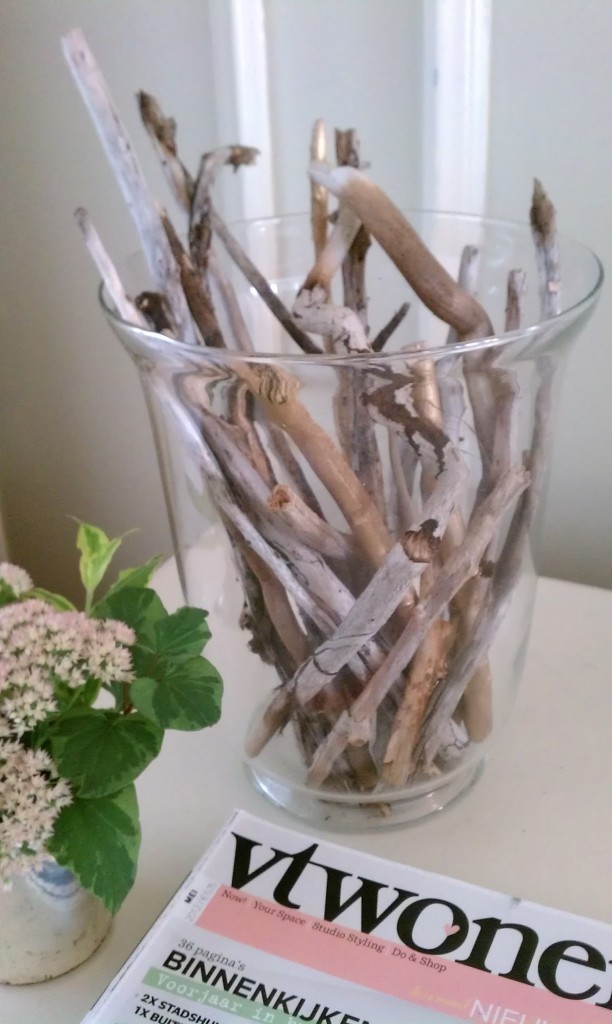 sticks in vase