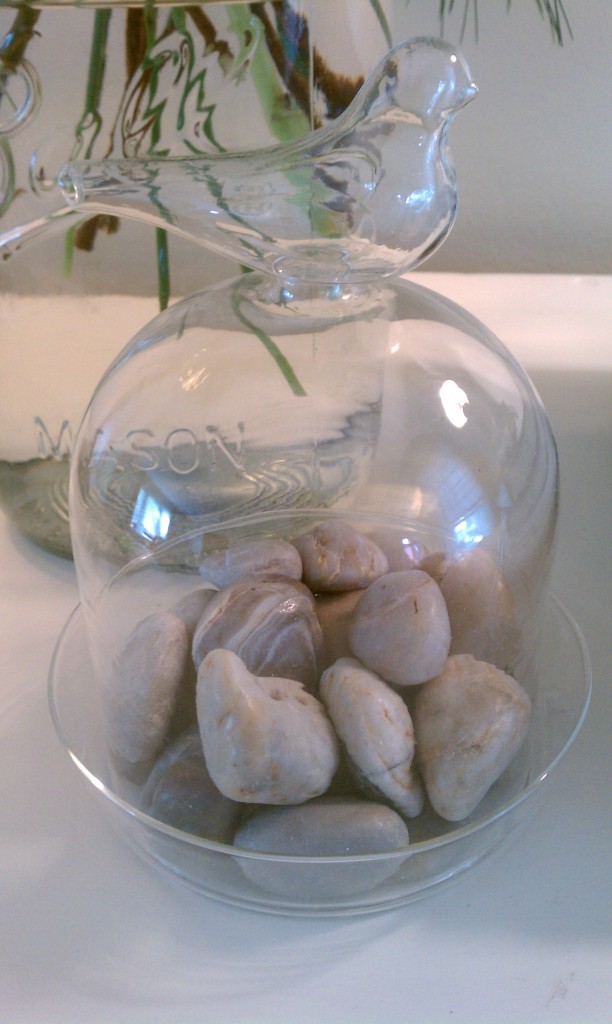 stones in cloche