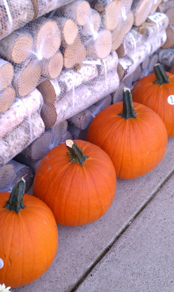 pumpkins