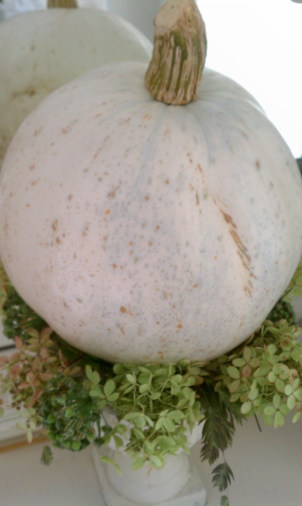 gourd on greens