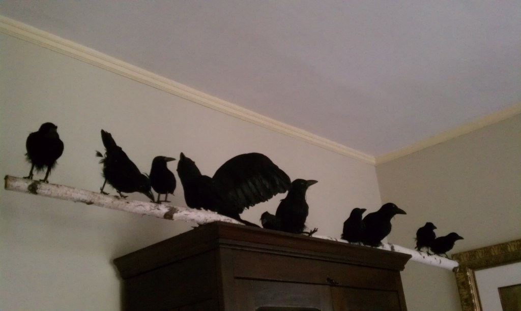 crows