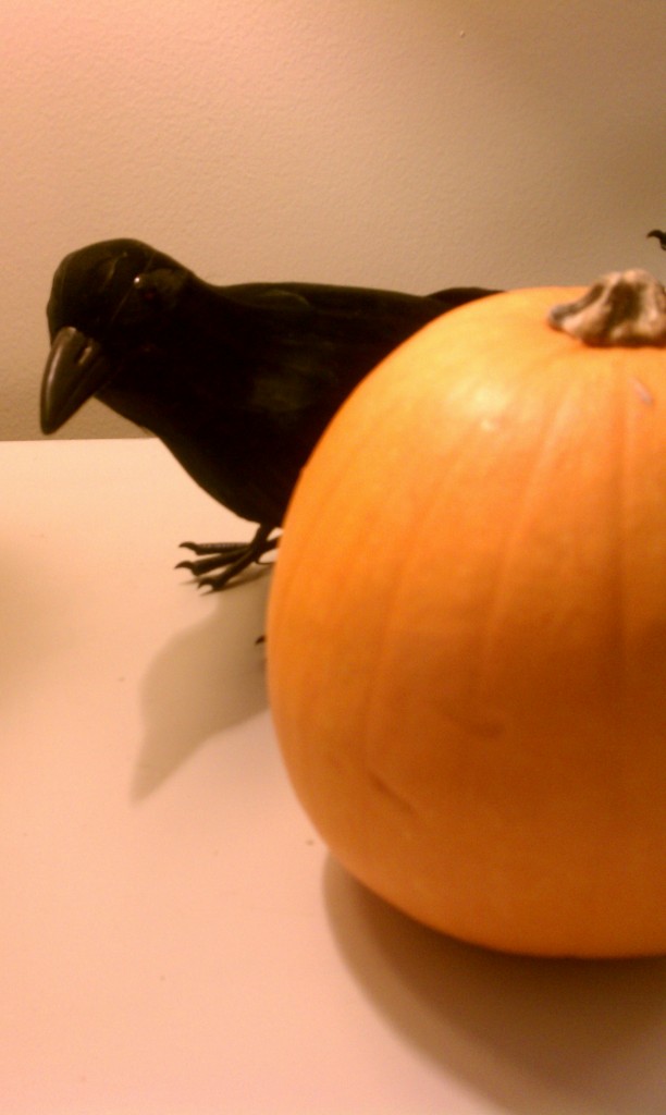 crow & pumpkin