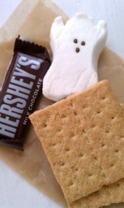 s'mores favor