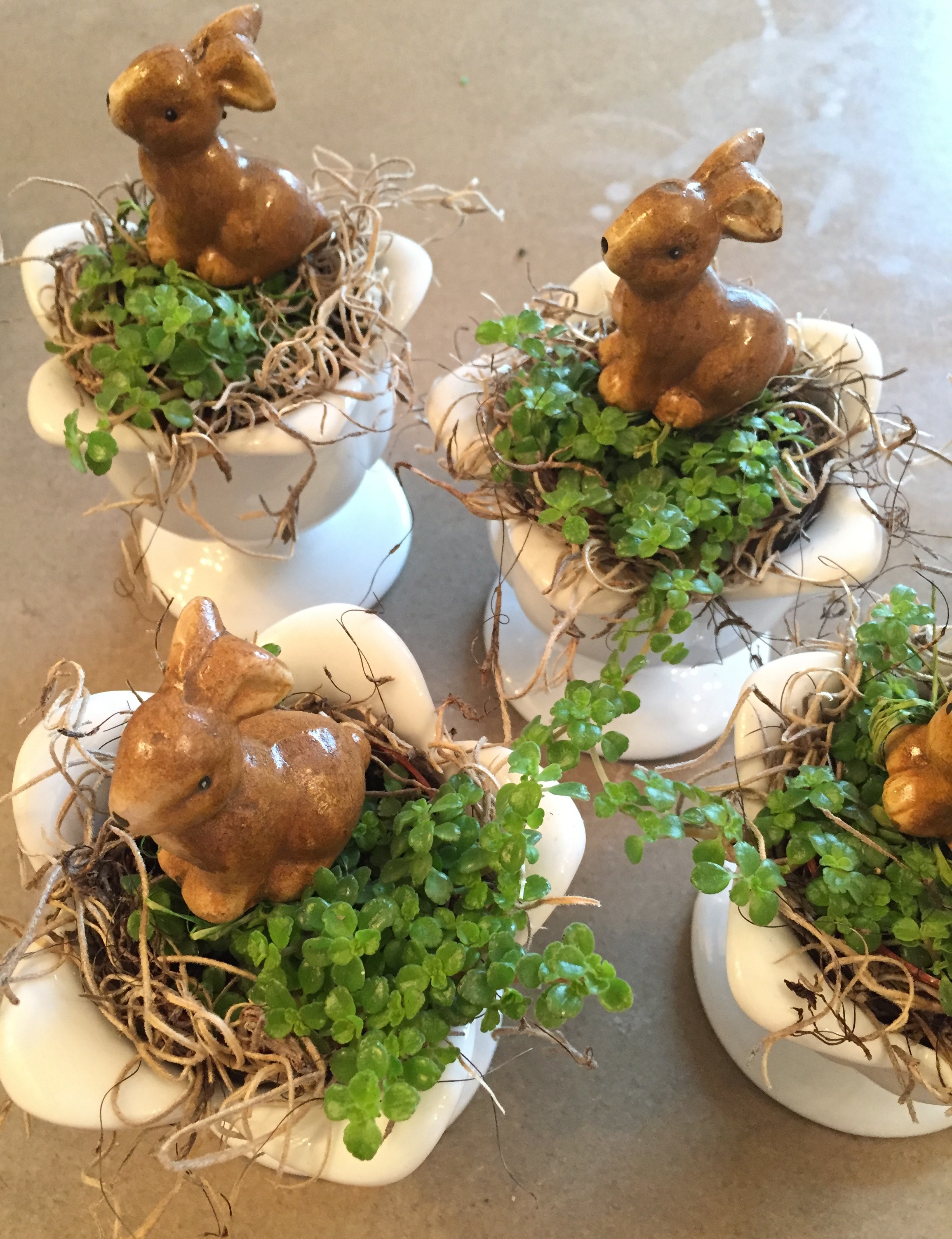 mini planters for place settings