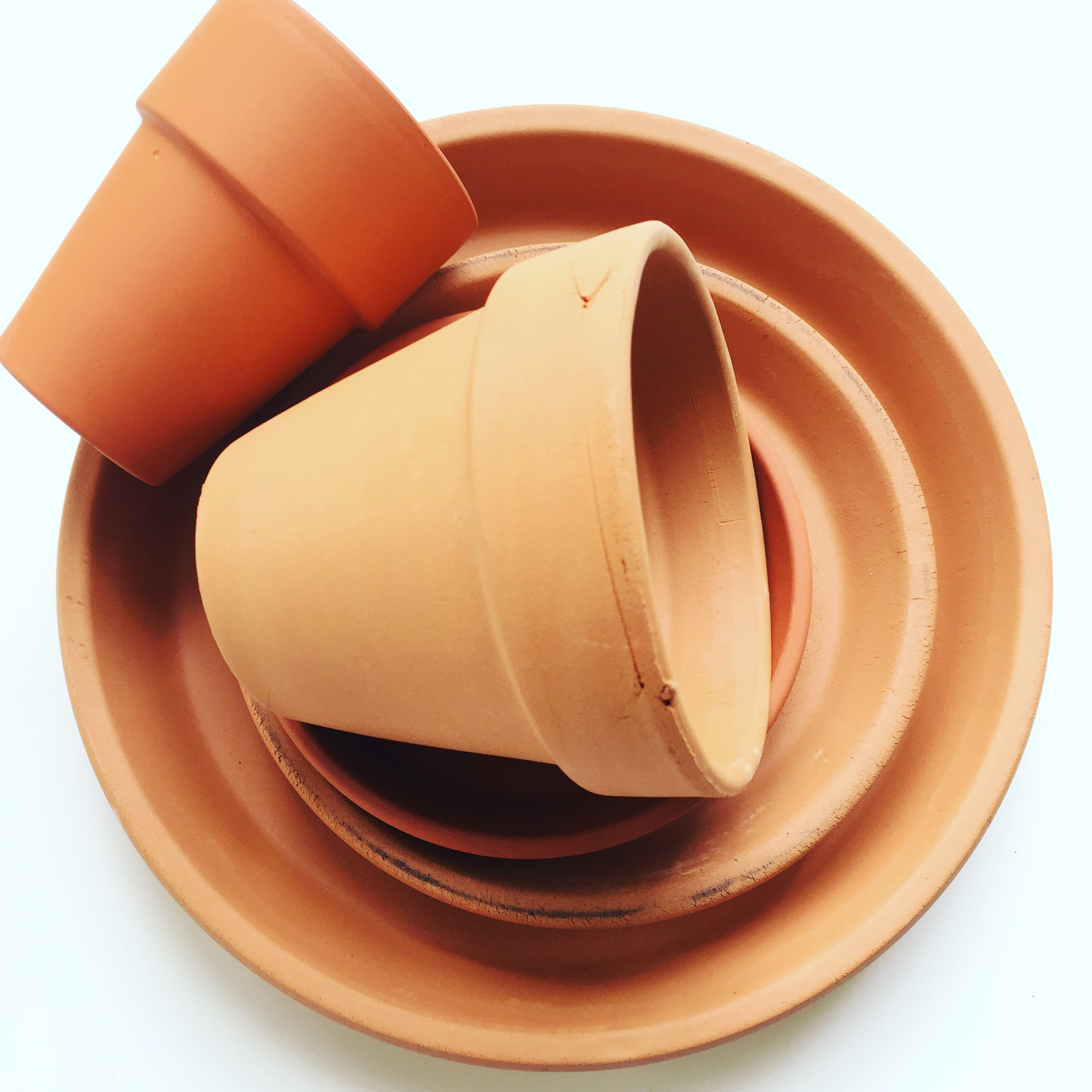 terracotta pots