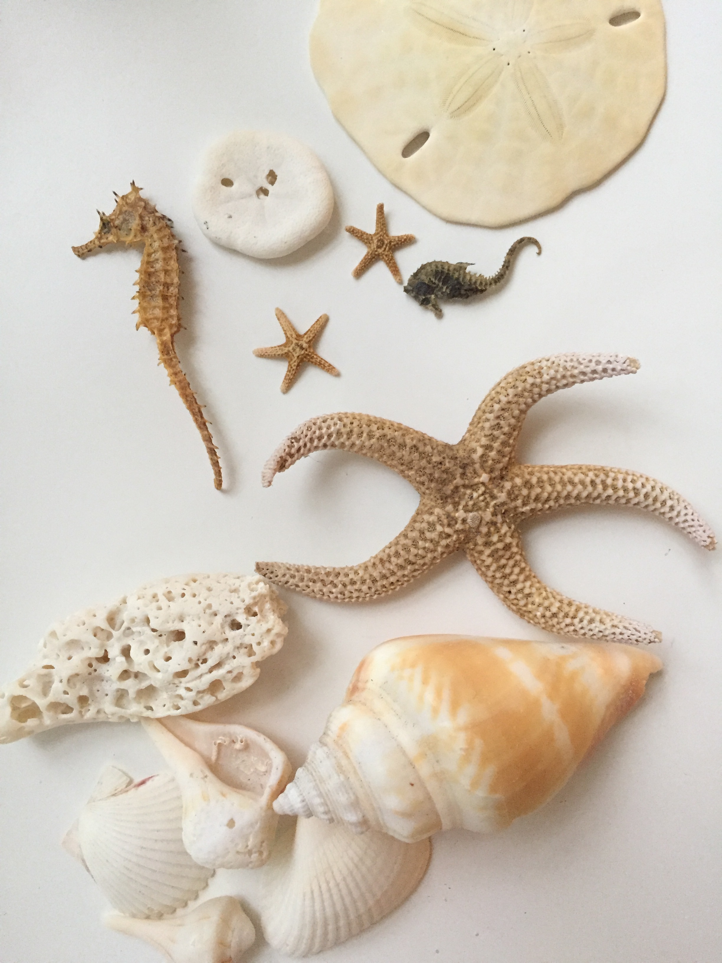 beach trinkets