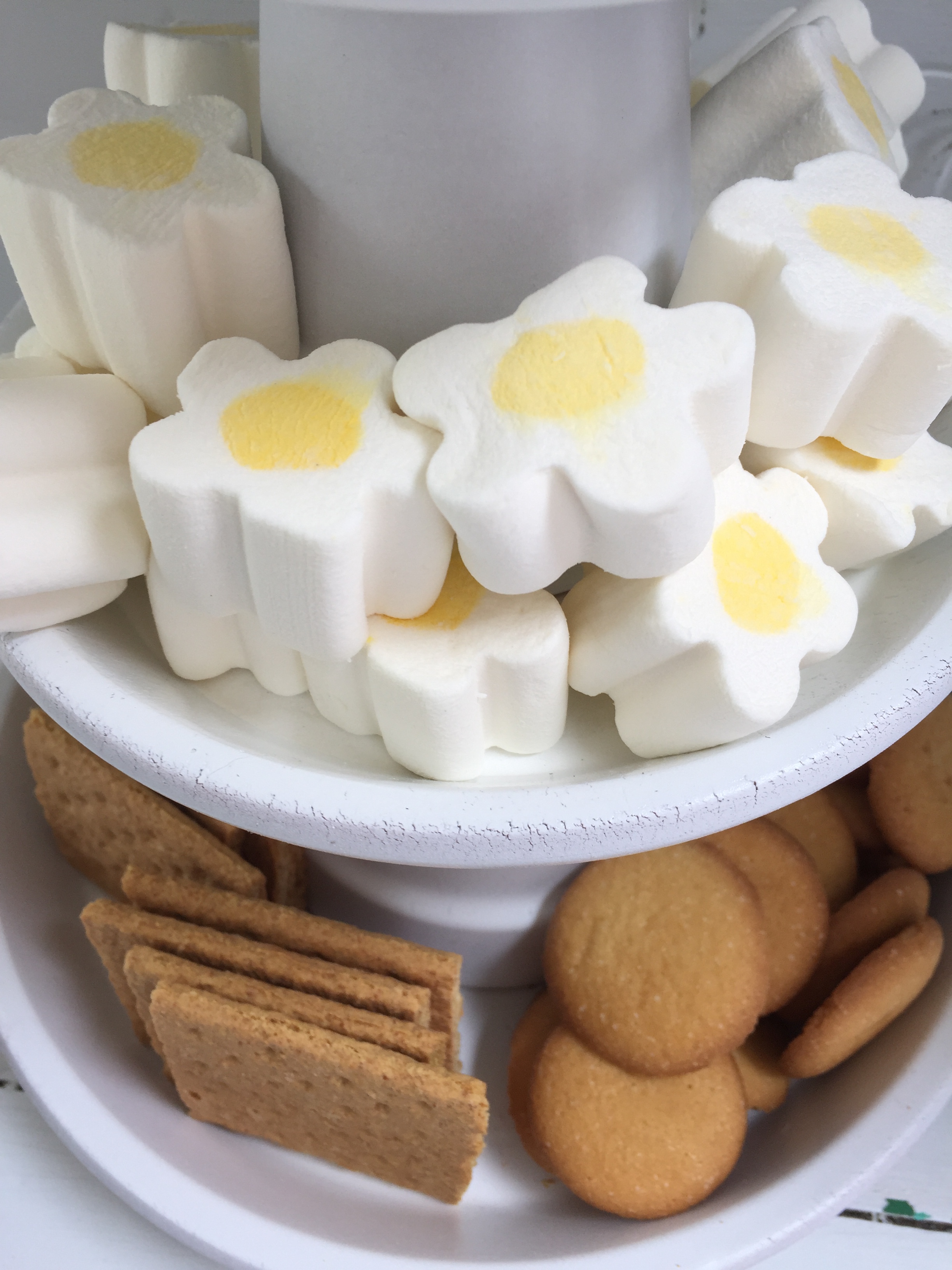 flower mallows