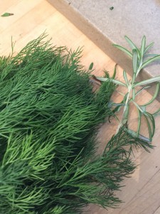 dill & rosemary