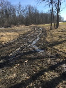 mud path