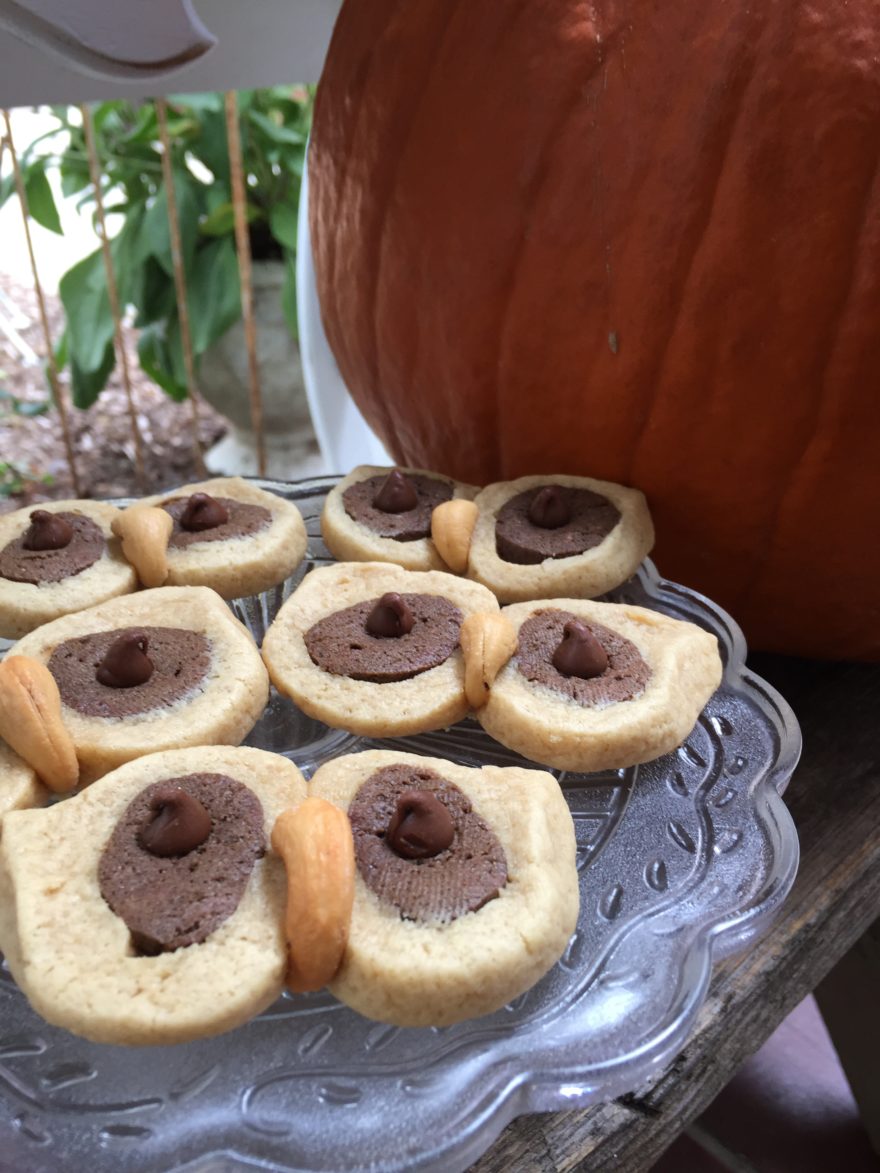 Cookies Shaped Like Little Owls Are A Fun Autumn Treat   IMG 2640 880x1173 