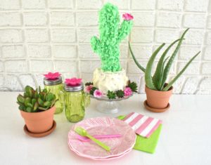 cactus cake topper party decorations