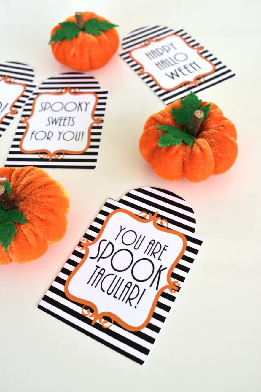 Halloween party favor ideas that will delight ghouls and goblins!