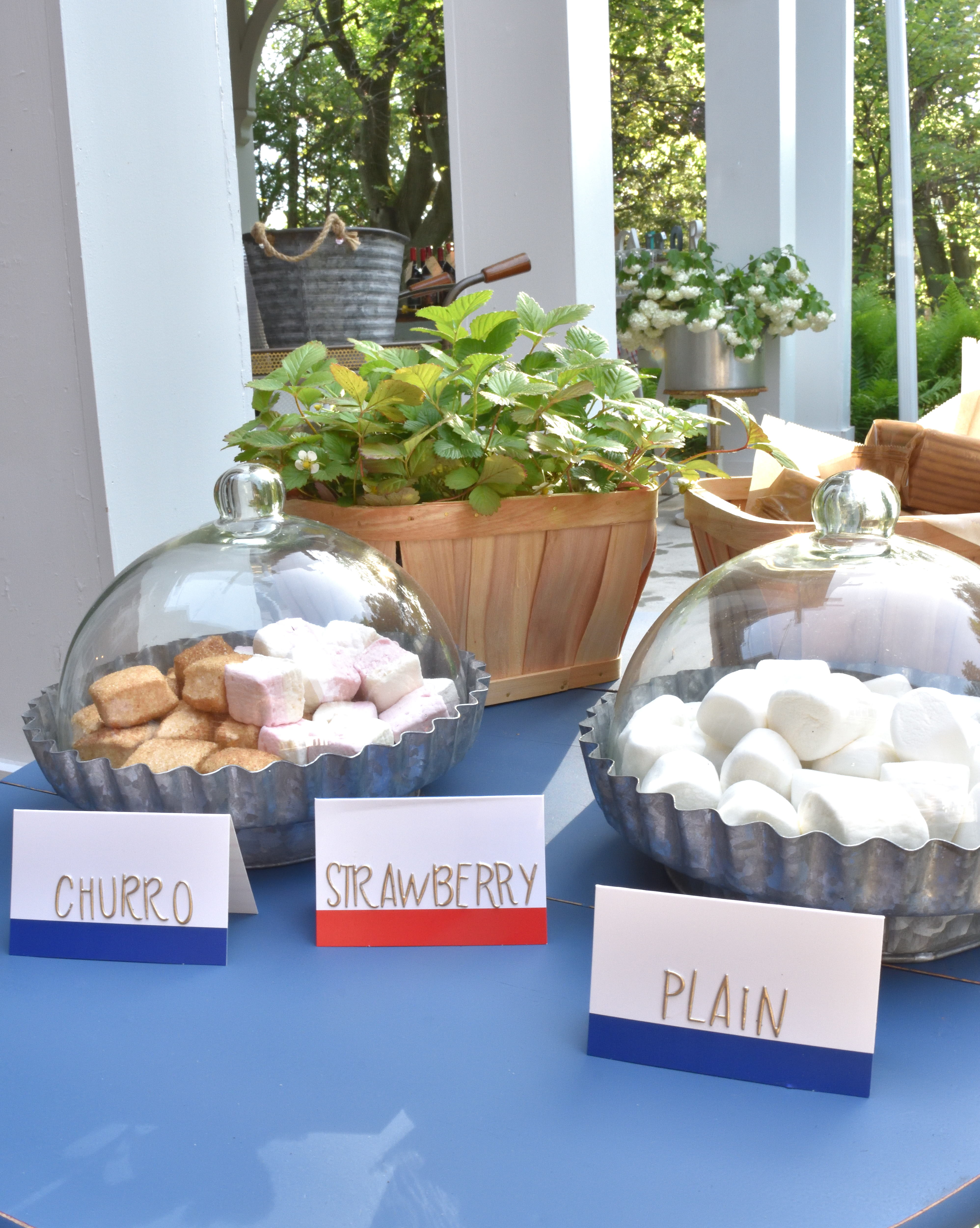 S'mores dessert table