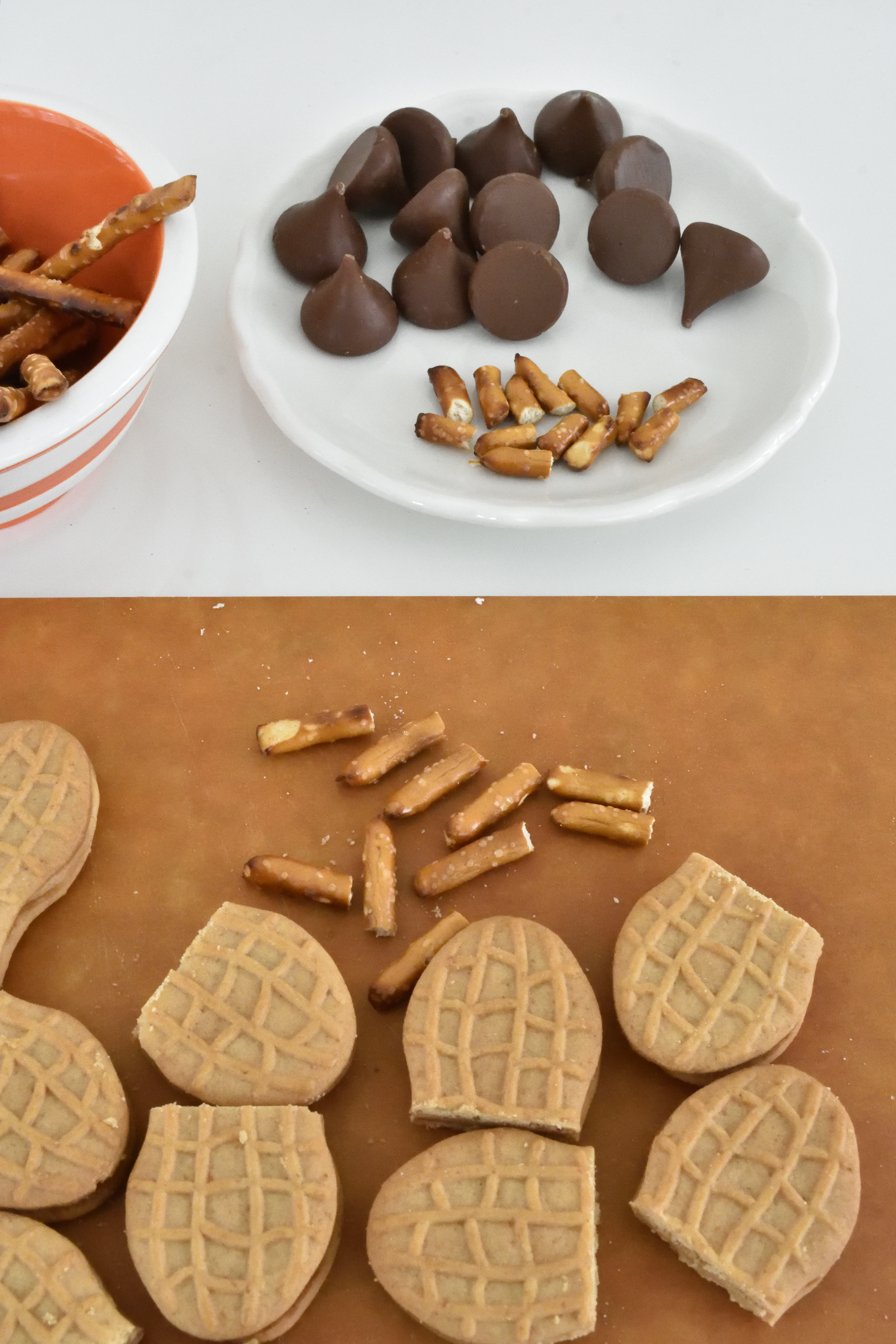 acorn treat tutorial