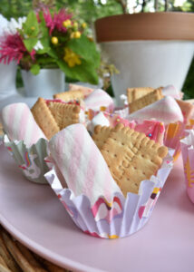 pink pool party s'mores