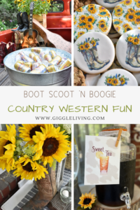 country western party fun!