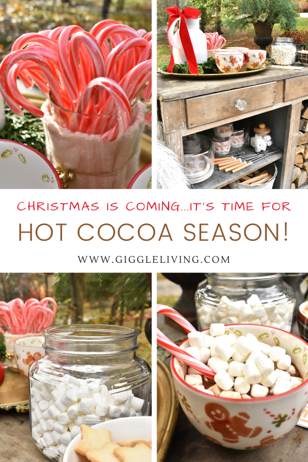 Holiday hot cocoa season