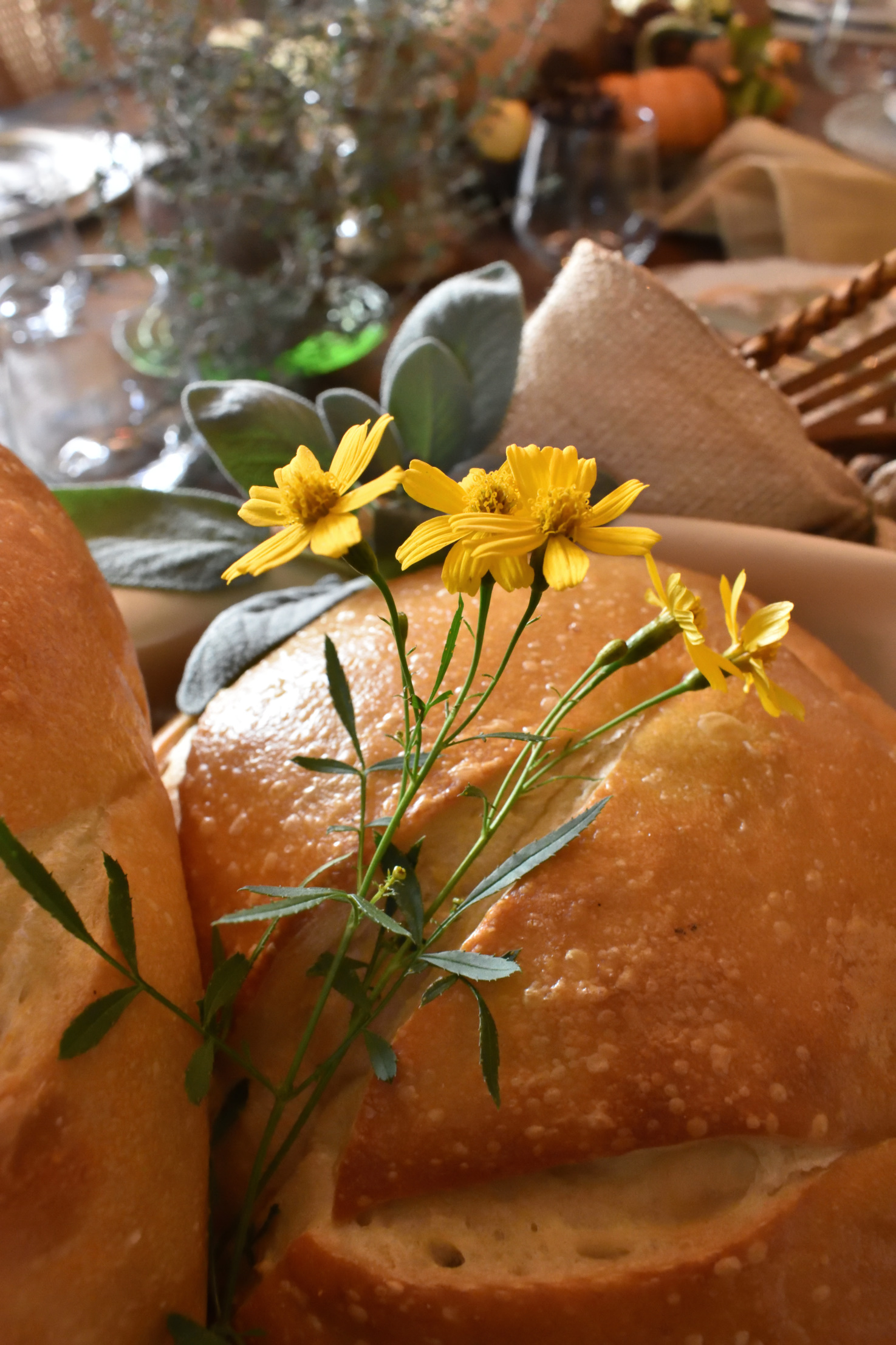 herbs on the thanksgiving table