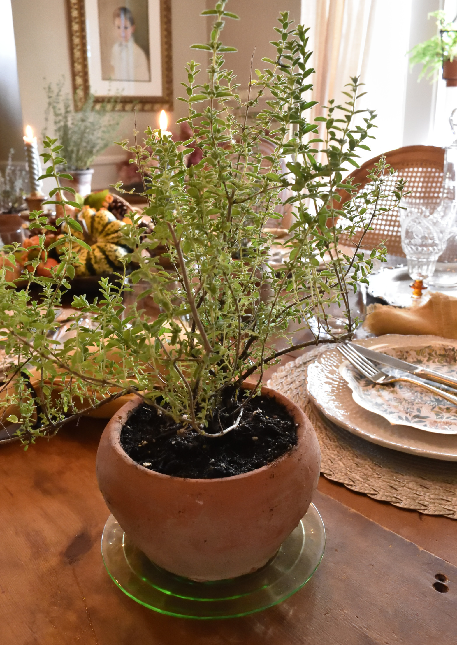 herb decor